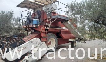 À vendre Moissonneuse batteuse à sacs بالشكارة Laverda 3500 complet