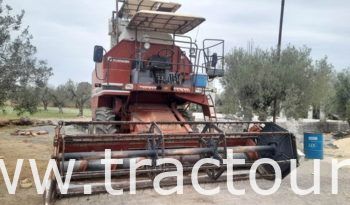 À vendre Moissonneuse batteuse à sacs بالشكارة Laverda 3500 complet