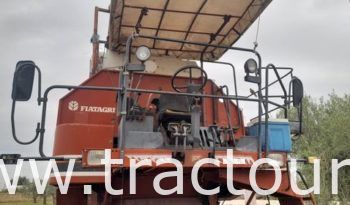 À vendre Moissonneuse batteuse à sacs بالشكارة Laverda 3500 complet