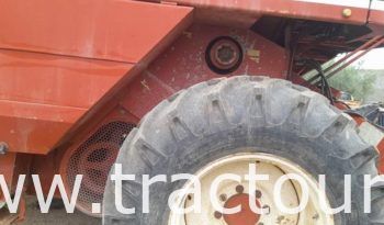 À vendre Moissonneuse batteuse à sacs بالشكارة Laverda 3500 complet