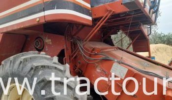 À vendre Moissonneuse batteuse à sacs بالشكارة Laverda 3500 complet