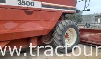 À vendre Moissonneuse batteuse à sacs بالشكارة Laverda 3500 complet