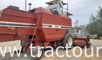 À vendre Moissonneuse batteuse à sacs بالشكارة Laverda 3500 complet