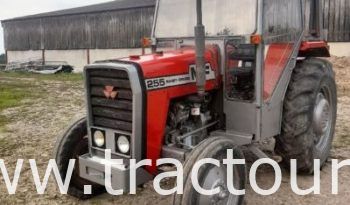 À vendre Tracteur Massey Ferguson 240 Xtra complet