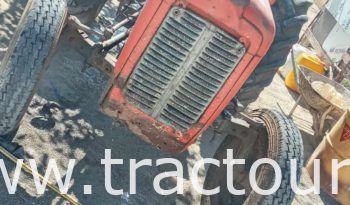 À vendre Tracteur IMT 533 de luxe avec carte grise (1990) complet