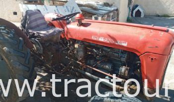 À vendre Tracteur IMT 533 de luxe avec carte grise (1990) complet