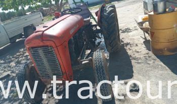 À vendre Tracteur IMT 533 de luxe avec carte grise (1990) complet