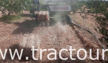 À vendre Presse à paille – Brissa Claas Markant 55 (2022) complet