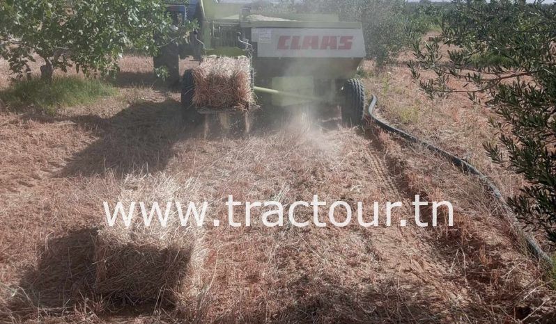 À vendre Presse à paille – Brissa Claas Markant 55 (2022) complet