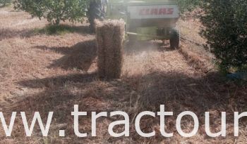 À vendre Presse à paille – Brissa Claas Markant 55 (2022) complet