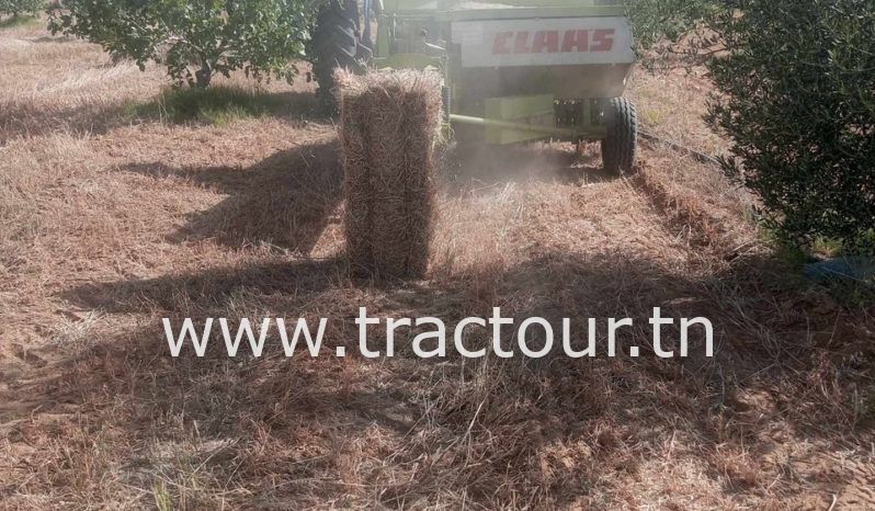 À vendre Presse à paille – Brissa Claas Markant 55 (2022) complet