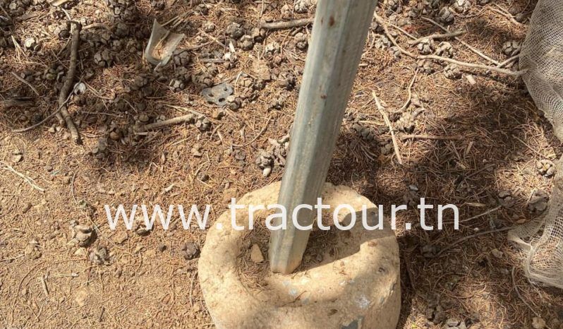 À vendre Pergola pour vigne – complet