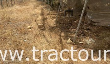 À vendre Pergola pour vigne – complet