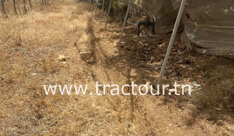 À vendre Pergola pour vigne – complet