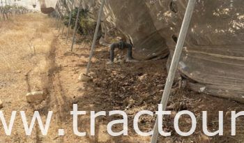 À vendre Pergola pour vigne – complet