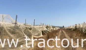 À vendre Pergola pour vigne – complet