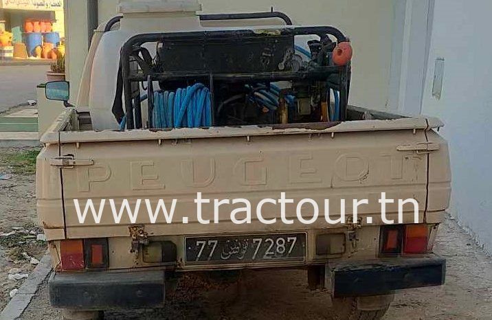 À vendre Camionnette 2 portes avec cabine Peugeot 504 Jaguar (1996) complet