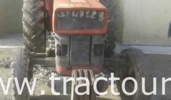 À vendre Tracteur Massey Ferguson 135 (1991) complet