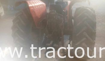 À vendre Tracteur Same Explorer II 80 (2001) complet