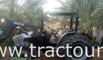 ⛔🚫VENDU تم البيع🚫⛔ Tracteur Lamborghini R3.85 avec chargeur MX U8 et remorque complet